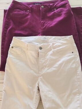 d.jeans Wine Color Pants and Curve Appeal Cream Pants. Size 8/29. Set of 2.